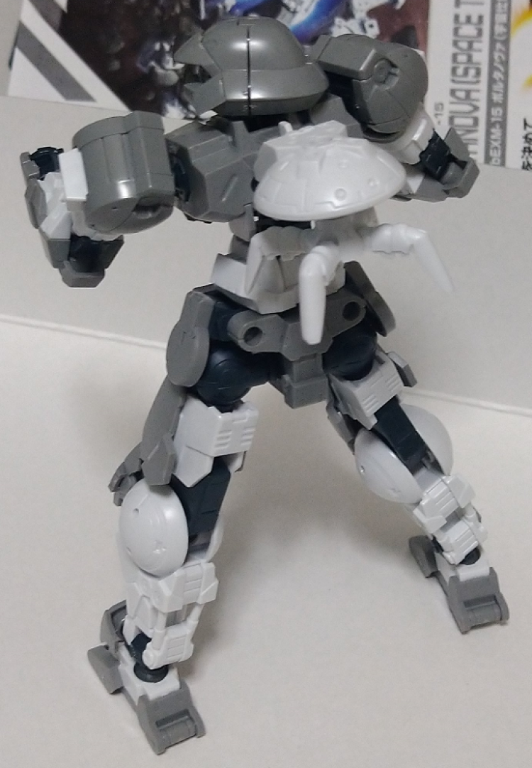 ポルタノヴァ通常形態（裏）